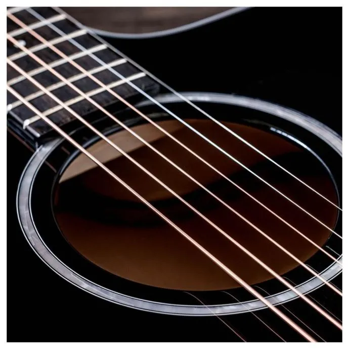taylor 214ce-blk plus - slika 4