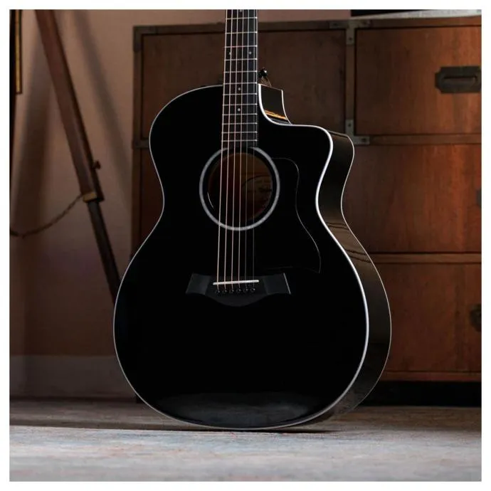 taylor 214ce-blk plus - slika 8