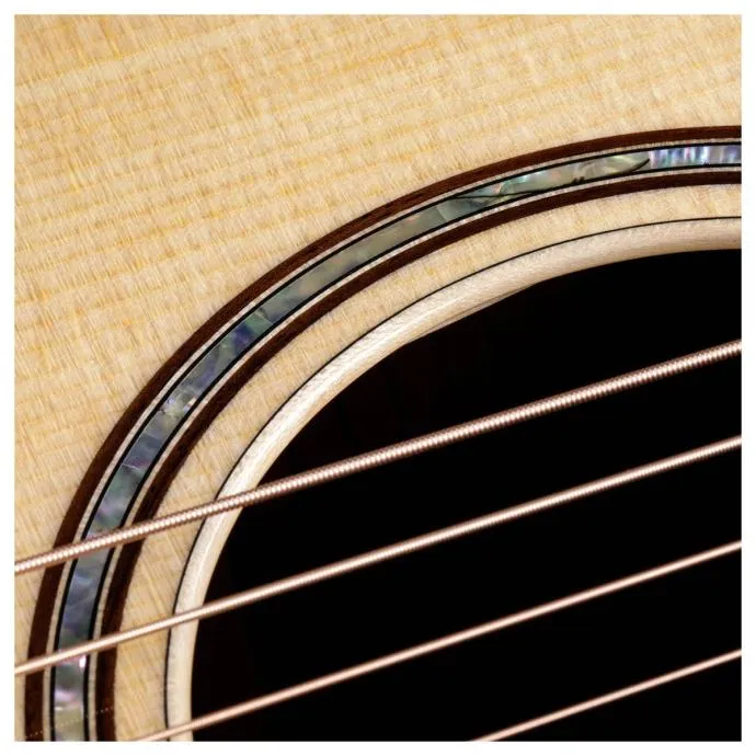 taylor 814ce v-class - slika 8