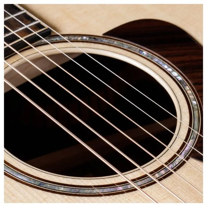 taylor 814ce v-class - slika 9