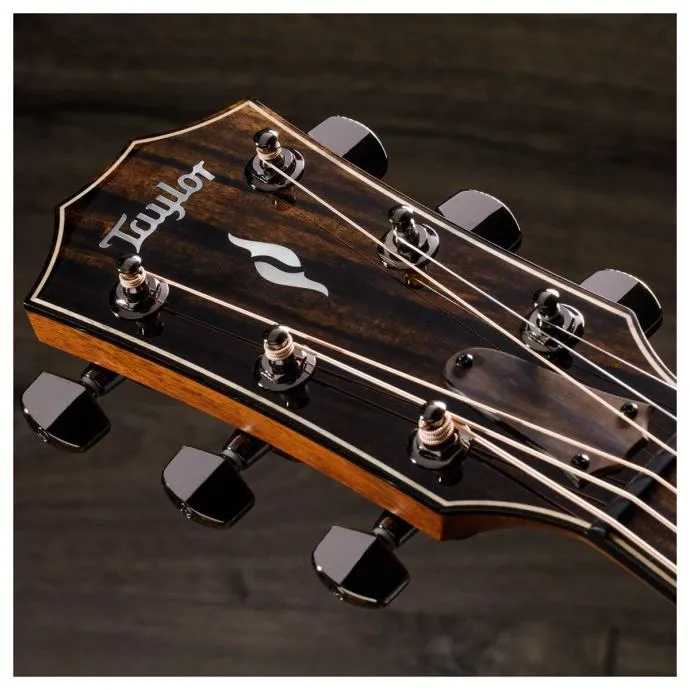 taylor 814ce v-class - slika 11