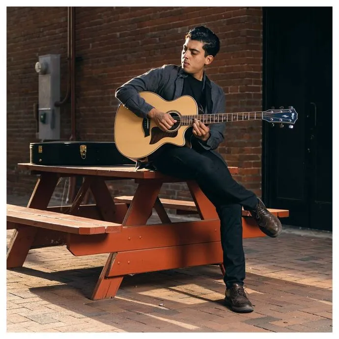 taylor 814ce v-class - slika 15