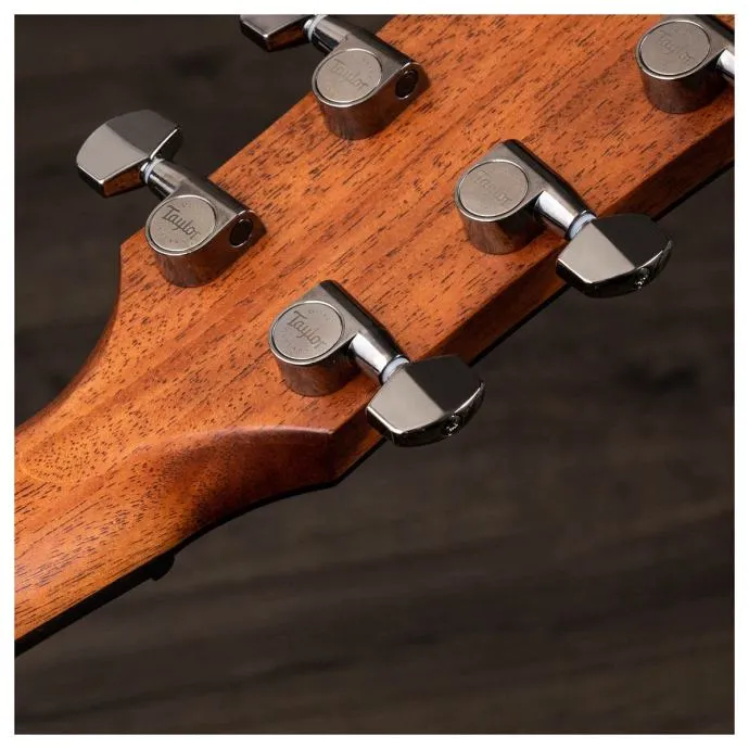 taylor 814ce v-class - slika 16