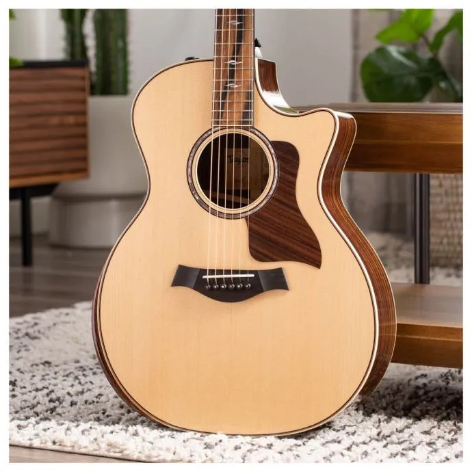taylor 814ce v-class - slika 18