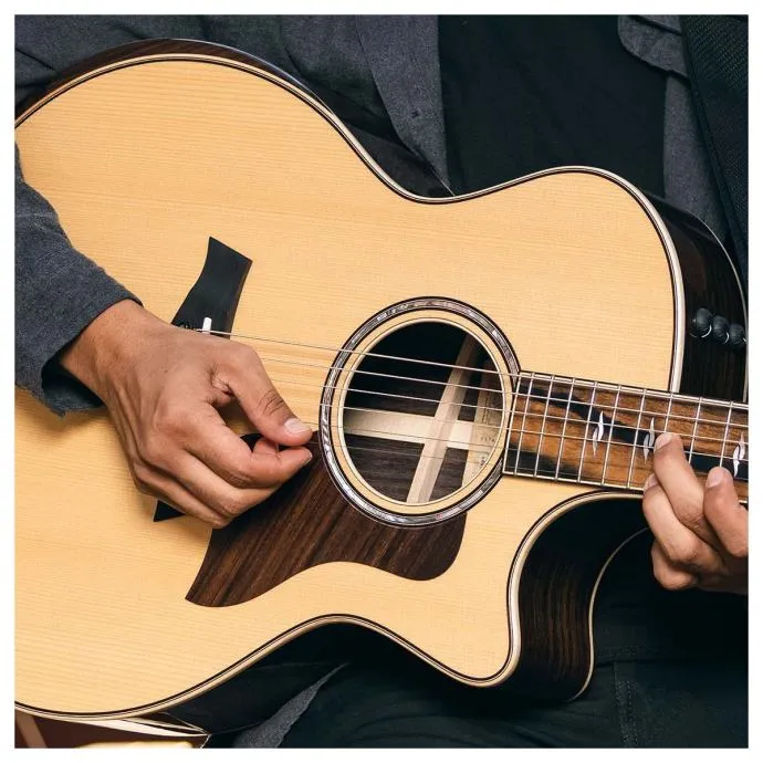 taylor 814ce v-class - slika 19