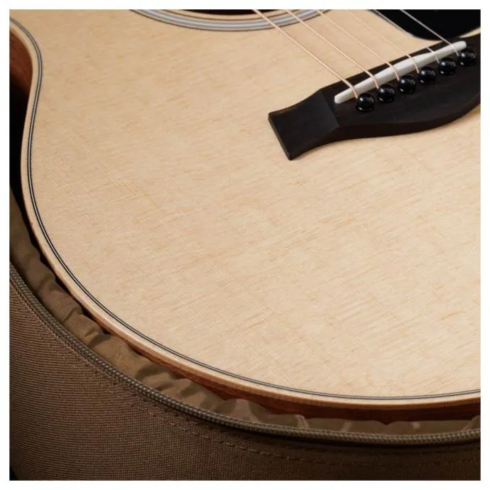 taylor gs mini sapele - slika 6