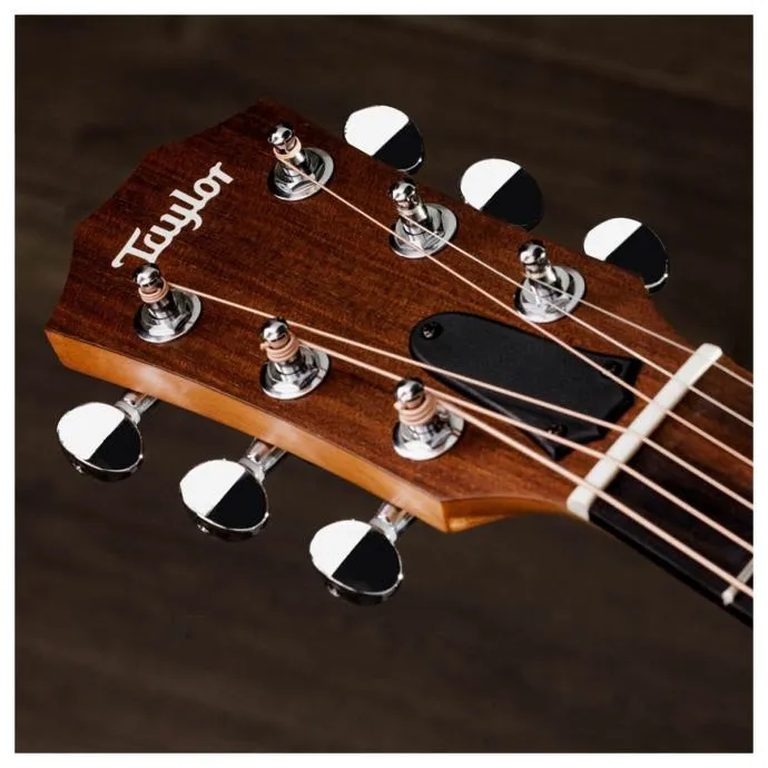 taylor gs mini sapele - slika 10