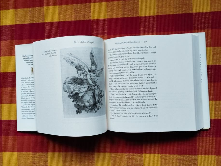 sophy burnham - a book of angels - slika 8