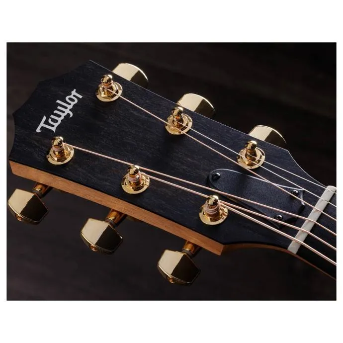 taylor 222ce-k dlx - slika 7