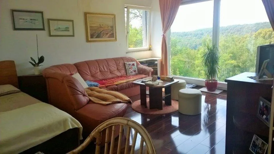 zagreb, podsljeme, djelomično dovršena vila poršine 650 m2 na parceli 3500 m2 - slika 10