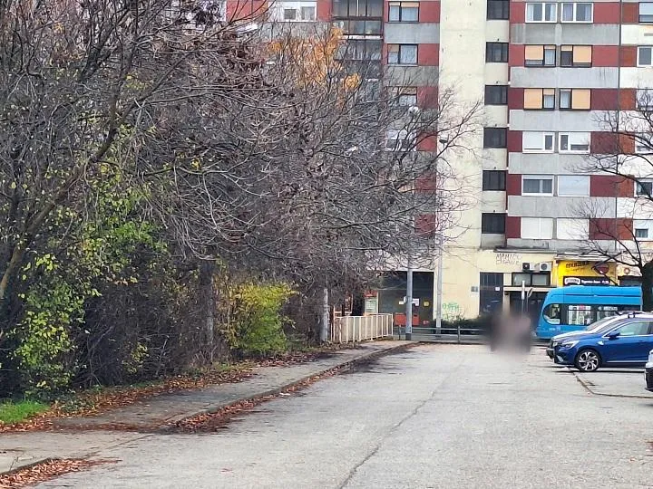 zagreb, centar dubrave, avenija dubrava, 2430 m2 građevinsko zemljište - slika 2