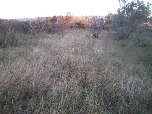 Starigrad Paklenica, građevinsko zemljište 1269 m2