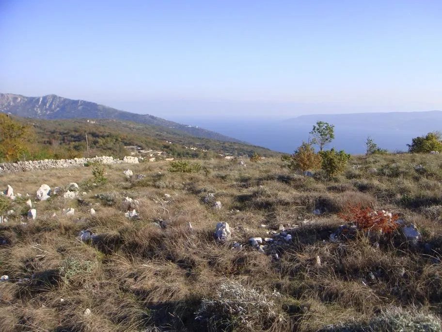 Istra, Ripenda, poljoprivredno zemljište 50000 m2, 1600 m od mora