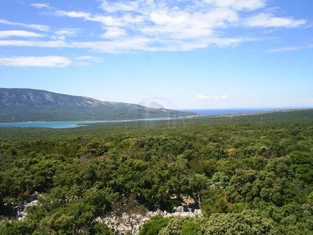 Otok Cres, poljoprivredno zemljište 60.000 m2 (mogucnost kupnje susjedne parcele 46.000 m2)