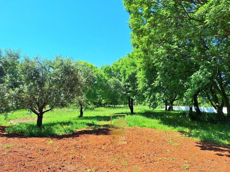 istra, barban, 1.5 km od mora, kuće 200 m2 sa bazenom okućnica 1640 m2 - slika 6