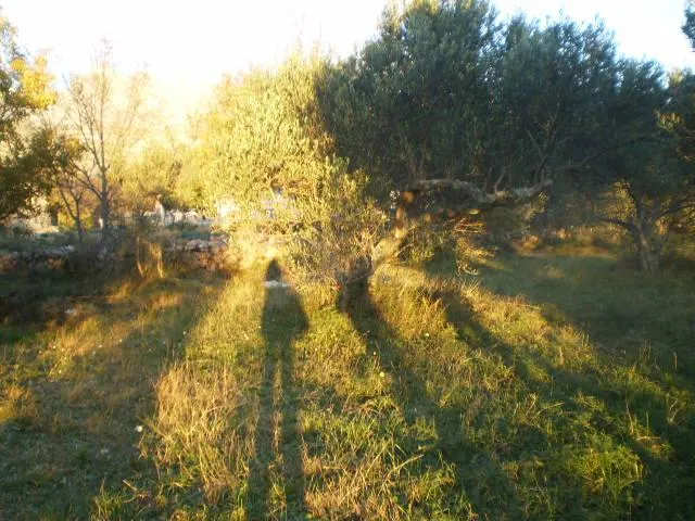 starigrad paklenica, građevinsko zemljište 622 m2 - slika 4