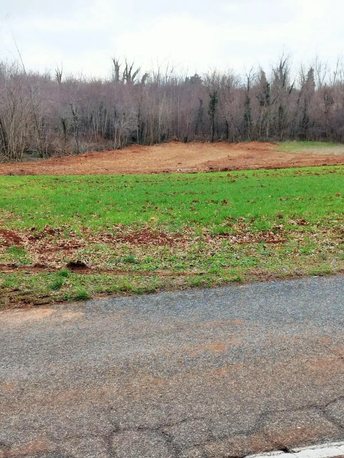 istra, barban, prodaja poljoprivrednog zemljišta 11700 m2 - slika 9
