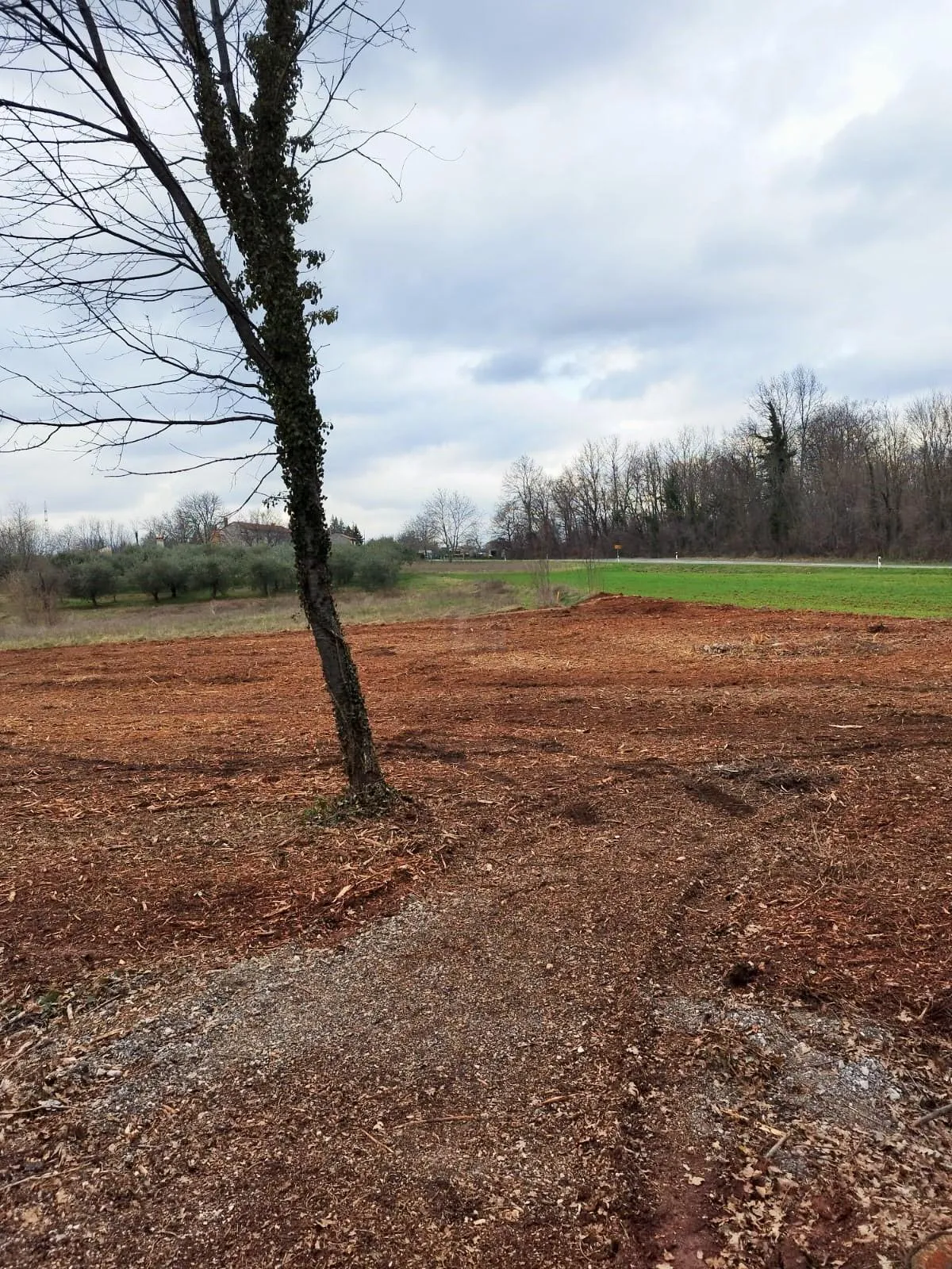 Istra, Barban, prodaja poljoprivrednog zemljišta 11700 m2