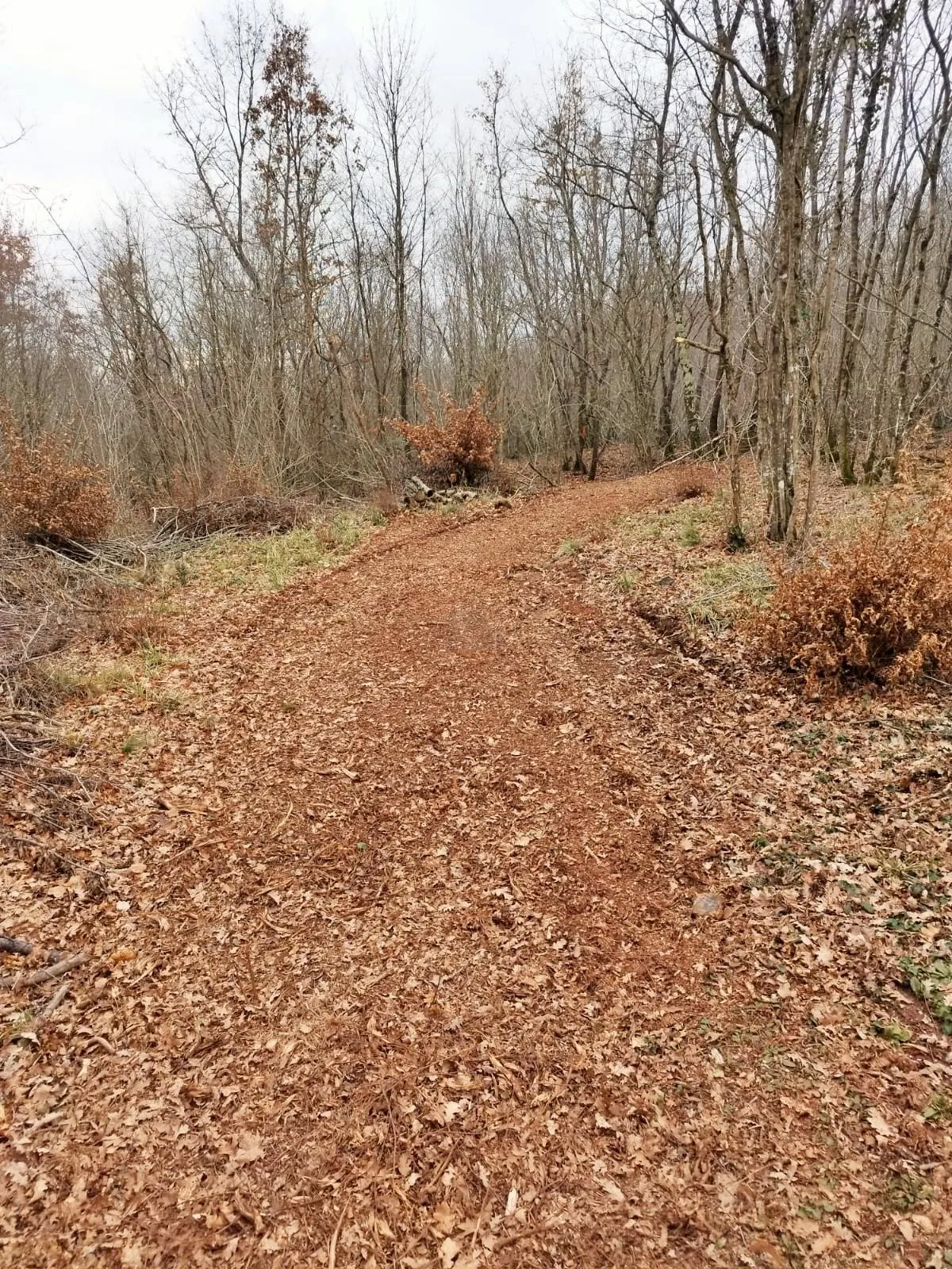 istra, barban, prodaja poljoprivrednog zemljišta 11700 m2 - slika 7