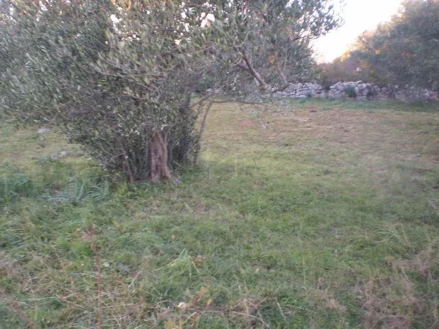 starigrad paklenica, građevinsko zemljište 1269 m2 - slika 2