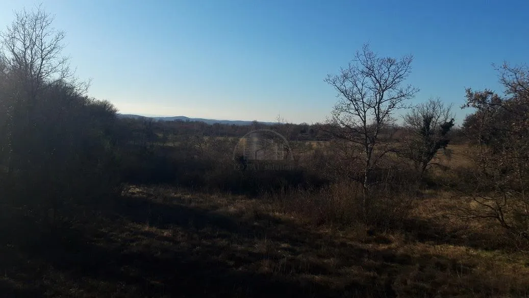 istra, raponji, poljoprivredno zemljište sa pogledom na more 15100 m2 - slika 3