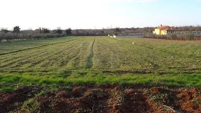 istra, raponji, građevinsko zemljište 2931 m2 - slika 4