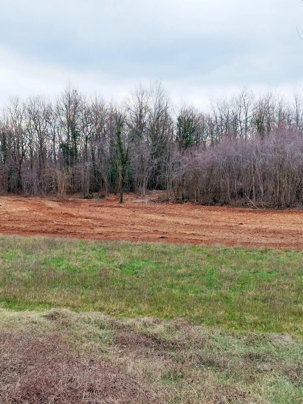 istra, barban, prodaja poljoprivrednog zemljišta 11700 m2 - slika 12
