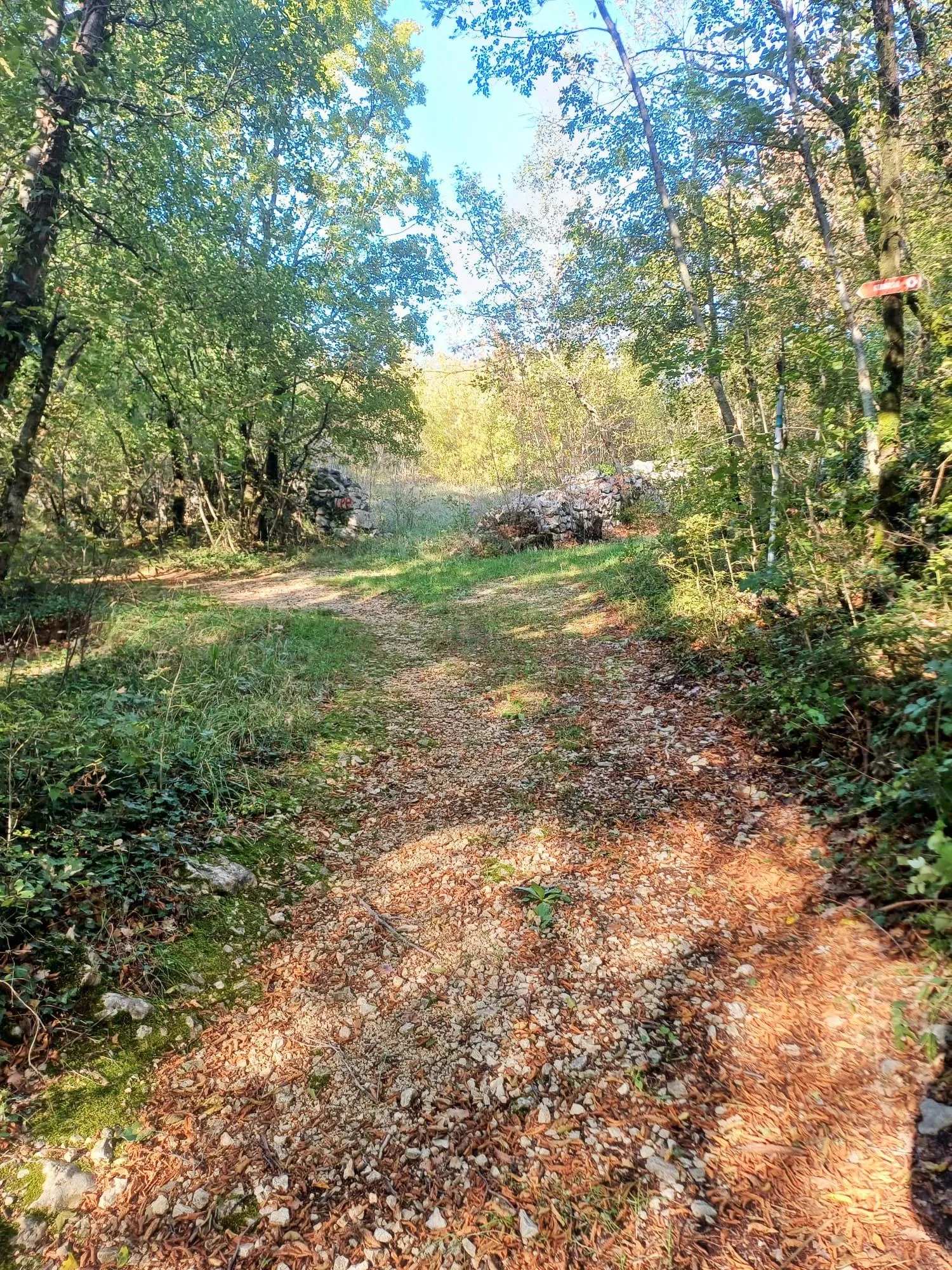 labin, ripenda kras- 4 km od rapca, 43000 m2 poljoprivredno zemljište - slika 5