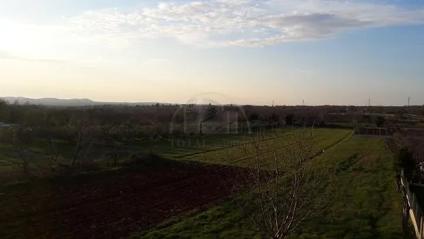 istra, raponji, građevinsko zemljište 2931 m2 - slika 3