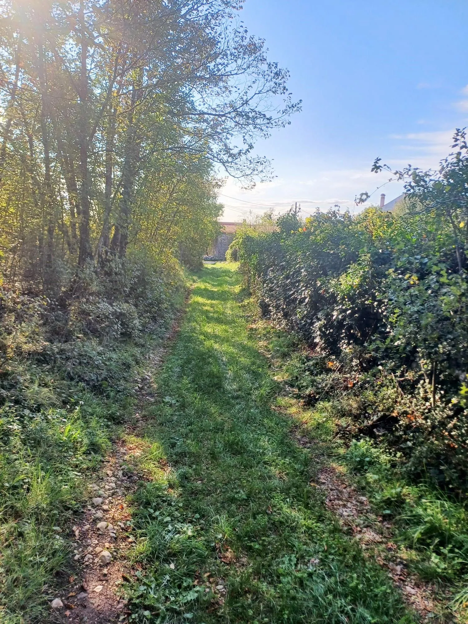 labin, ripenda kras- 4 km od rapca, 43000 m2 poljoprivredno zemljište - slika 3