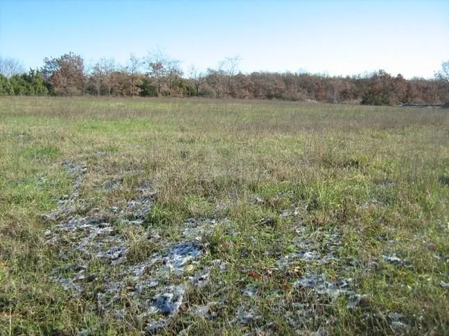 Istra, Svetvinčenat, zemljište (turistički punkt) ukupne površine 7431 m2