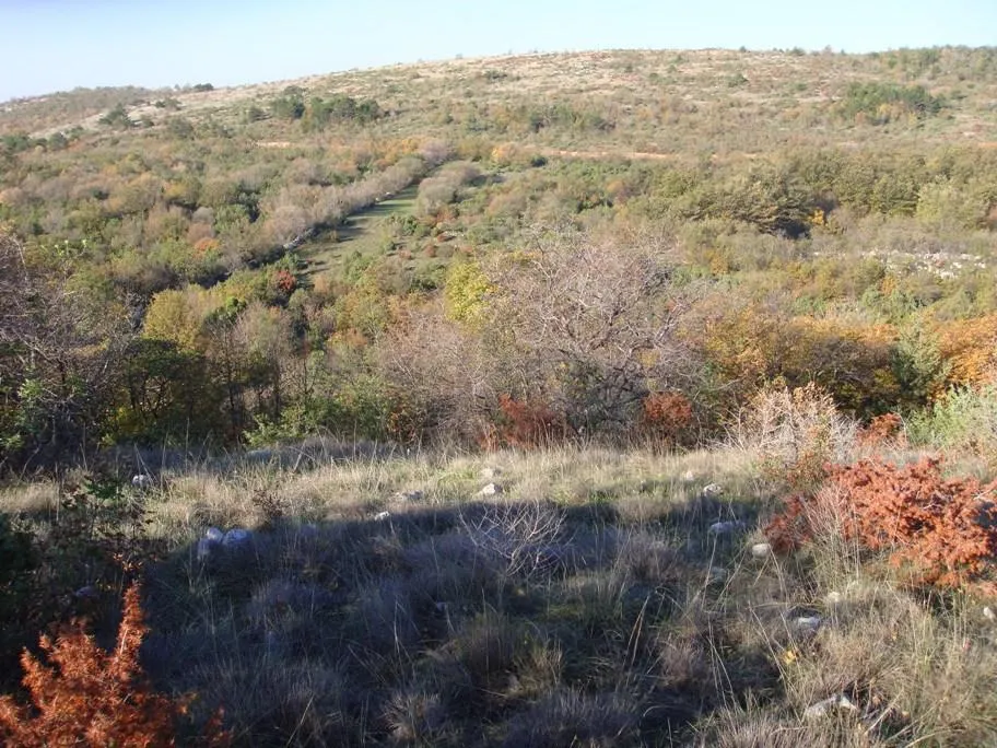 poljoprivredno zemljište, ripenda kosi, 50000 m2, 1600 m od mora - slika 4