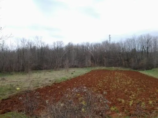 Istra, Barban, poljoprivredno zemljište 11669 m2