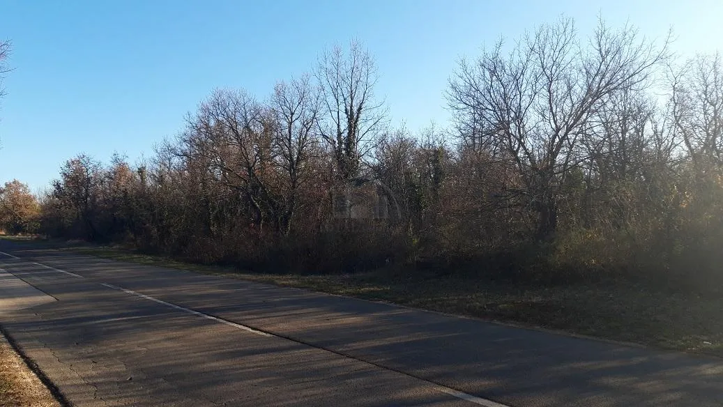 Istra, Raponji, Poljoprivredno zemljište sa pogledom na more 15100 m2
