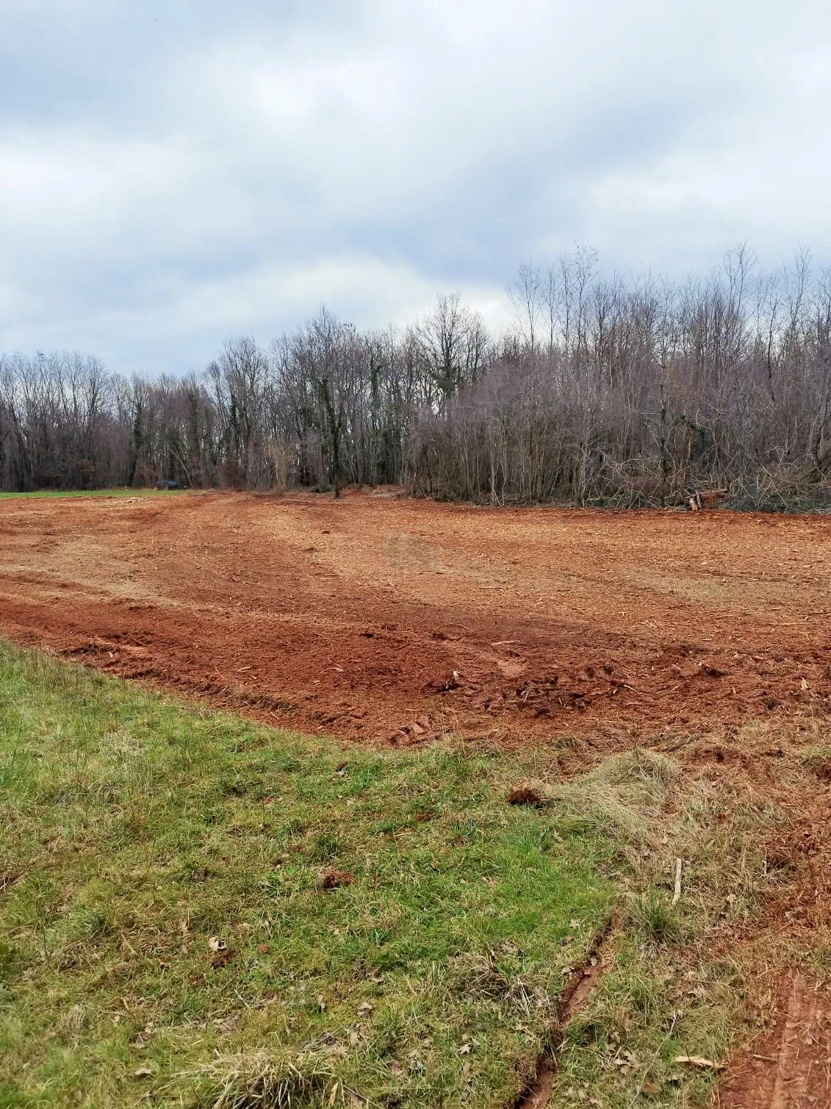 istra, barban, prodaja poljoprivrednog zemljišta 11700 m2 - slika 3