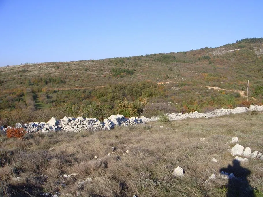 poljoprivredno zemljište, ripenda kosi, 50000 m2, 1600 m od mora - slika 6