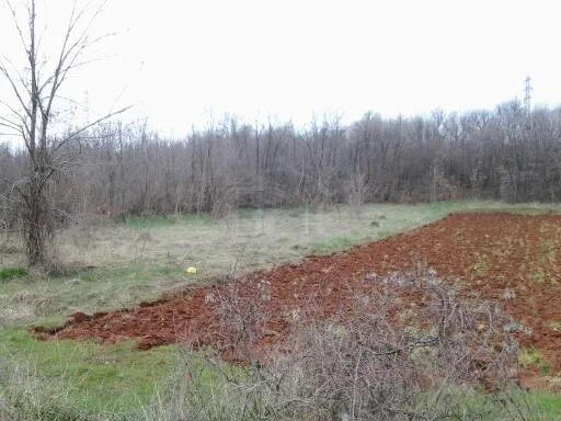istra, barban, poljoprivredno zemljište 11669 m2 - slika 2