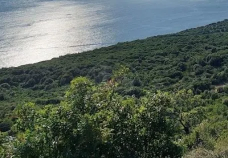 Cavtat, uz samo more- prodaje se zemljište 25000 m2 u turističkoj zoni