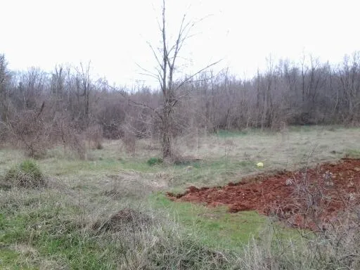 istra, barban, poljoprivredno zemljište 11669 m2 - slika 3
