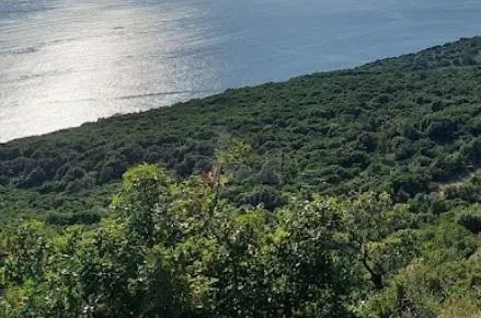Cavtat (Dubrovačko-neretvanska županija), uz samo more- prodaje se građevinsko zemljište 38000 m2 u turističkoj zoni T1 T2