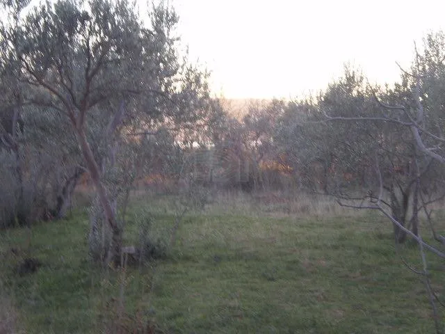 starigrad paklenica, građevinsko zemljište 622 m2 - slika 2