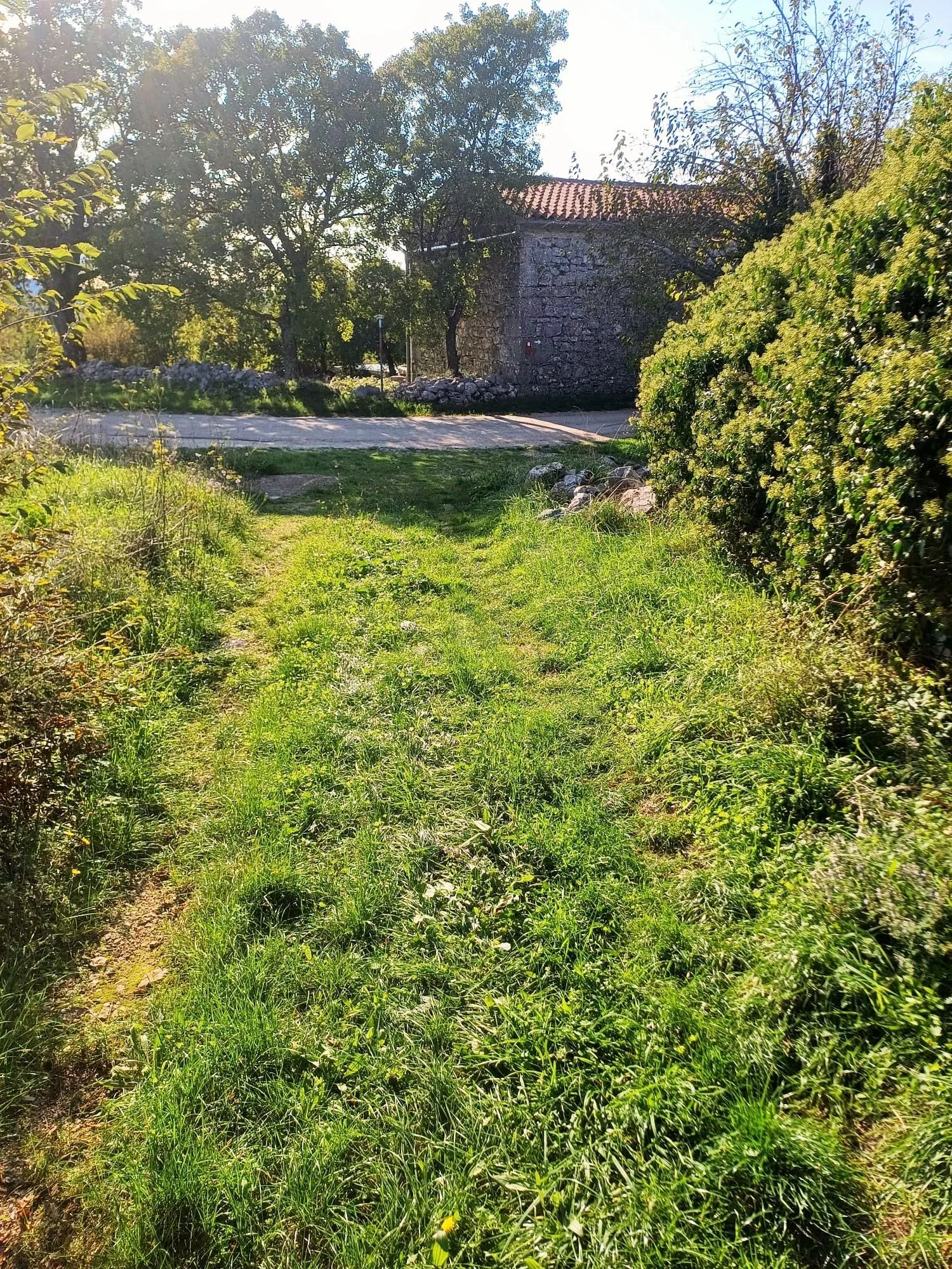 labin, ripenda kras- 4 km od rapca, 43000 m2 poljoprivredno zemljište - slika 2