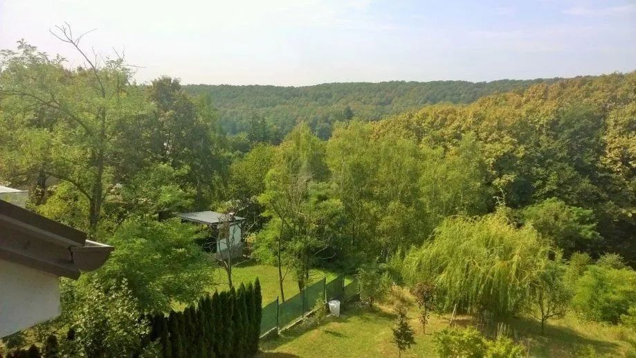 zagreb, podsljeme, djelomično dovršena vila poršine 650 m2 na parceli 3500 m2 - slika 5
