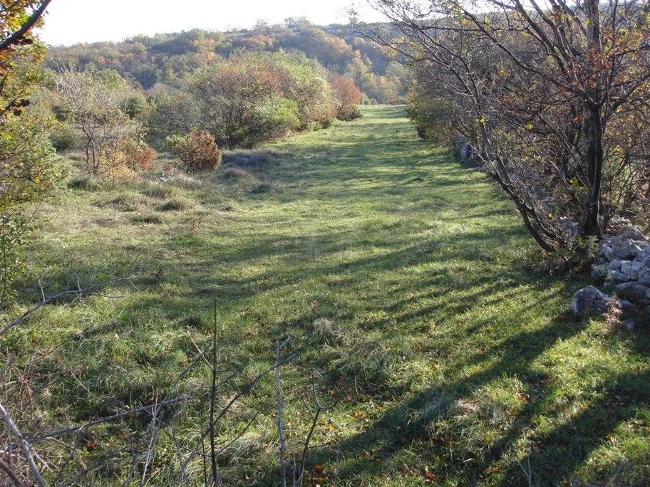 poljoprivredno zemljište, ripenda kosi, 50000 m2, 1600 m od mora - slika 3