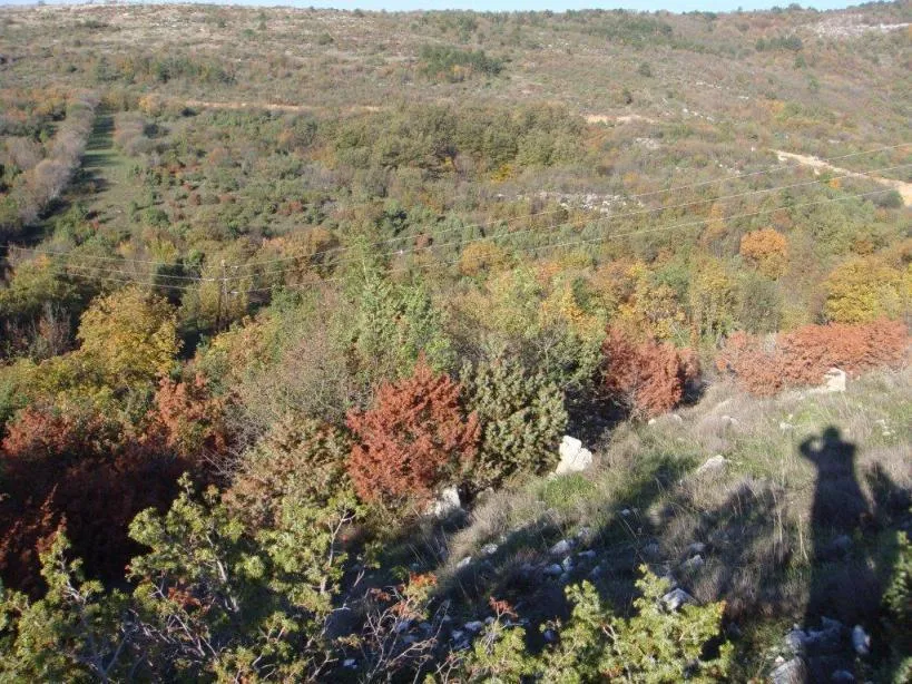 poljoprivredno zemljište, ripenda kosi, 50000 m2, 1600 m od mora - slika 5