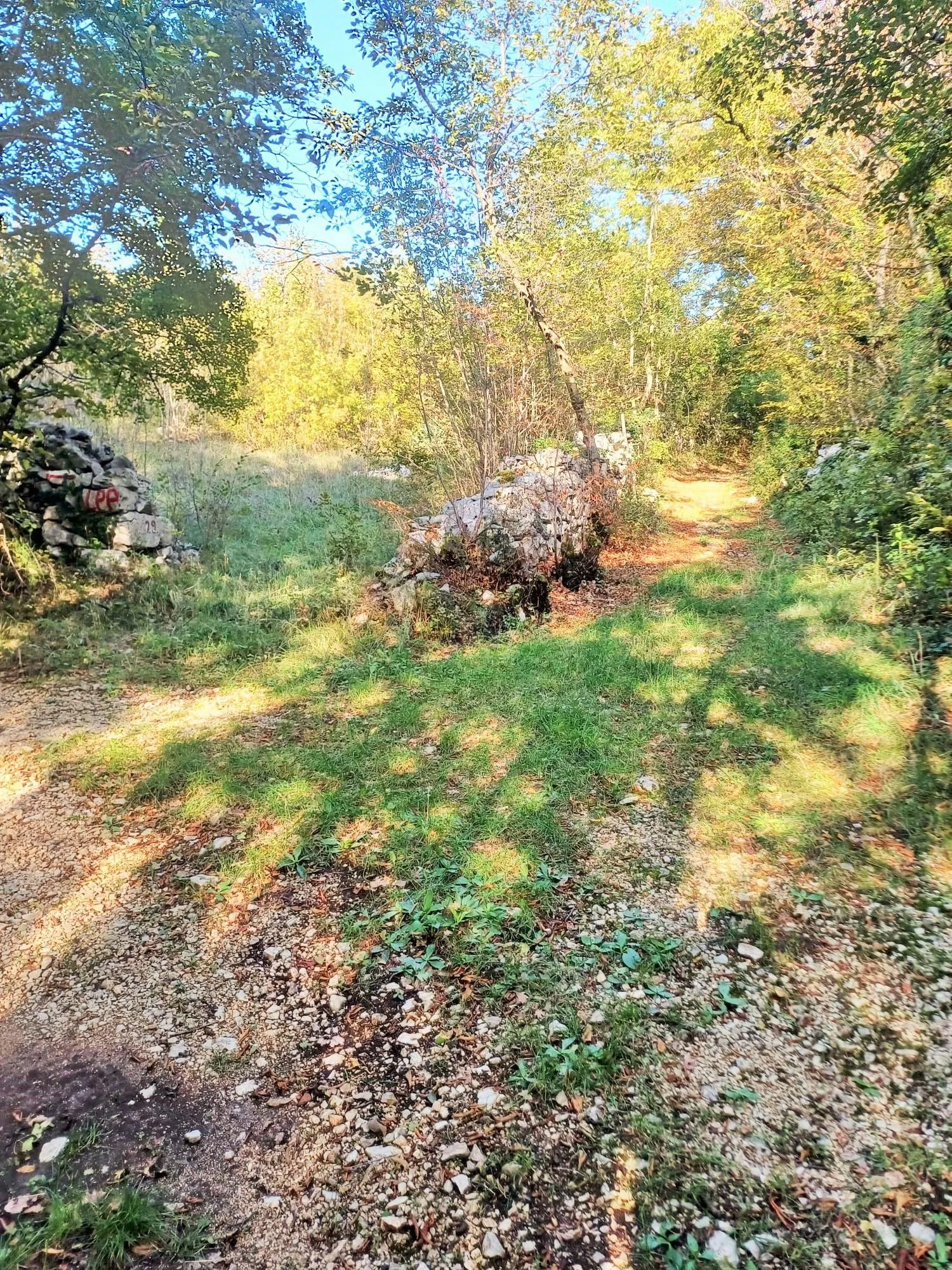 labin, ripenda kras- 4 km od rapca, 43000 m2 poljoprivredno zemljište - slika 4