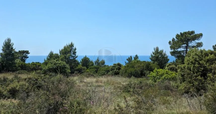 cavtat, uz samo more- prodaje se zemljište 25000 m2 u turističkoj zoni - slika 2