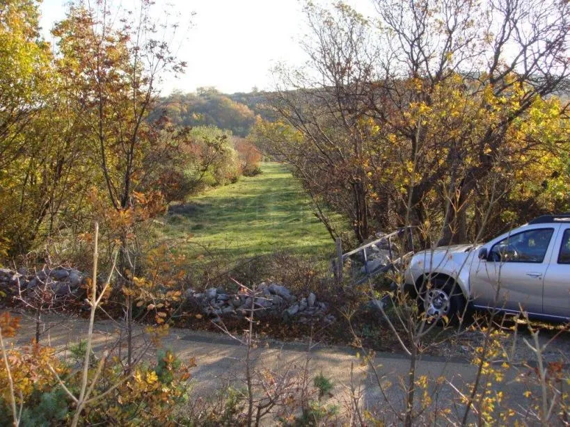 poljoprivredno zemljište, ripenda kosi, 50000 m2, 1600 m od mora - slika 2