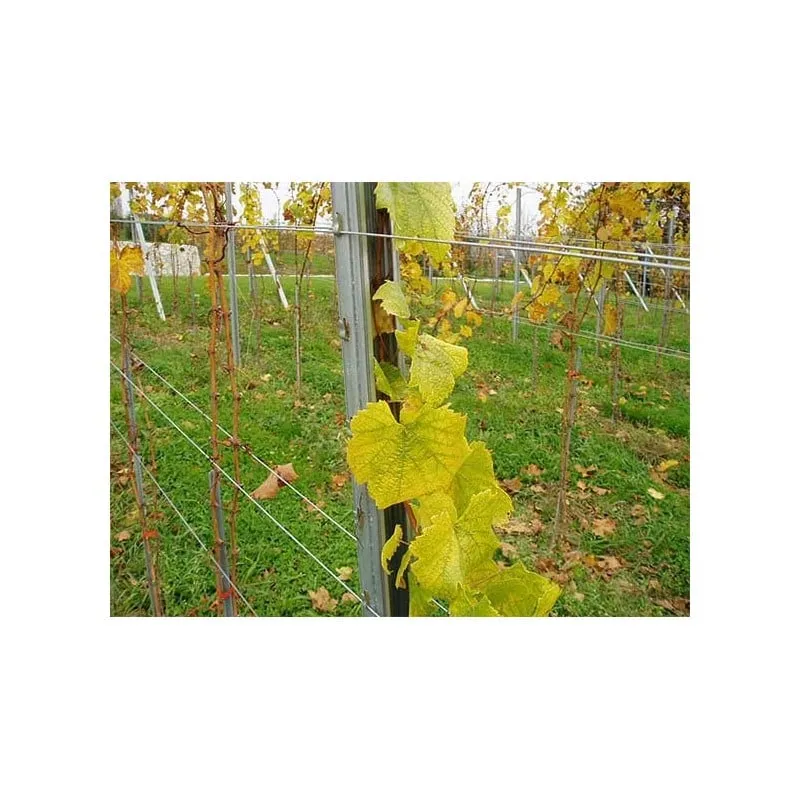 redni stup za vinograd-v 2500 mm - slika 2