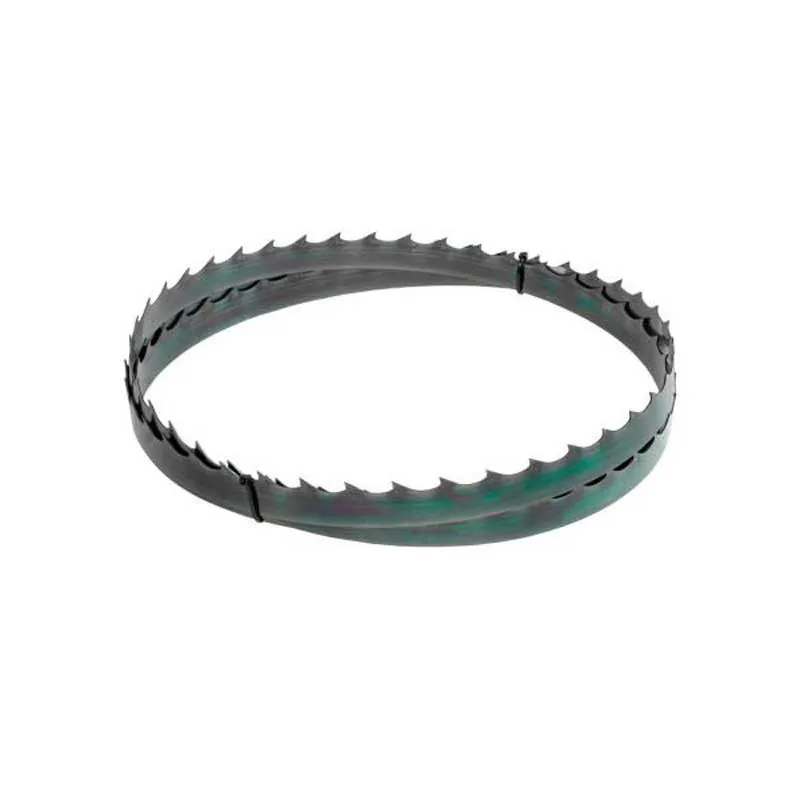 list tračne pile 2750x25x0,9mm t22mm holzmann maschinen - slika 1
